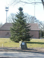 Grafenwald