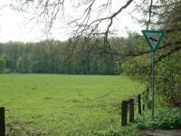 Wiese am Ruhehorst