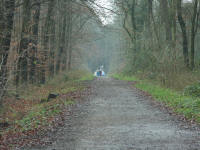 Grafenwald