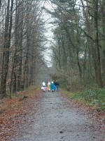 Grafenwald
