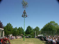 Grafenwald