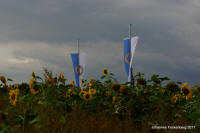 Grafenwald
