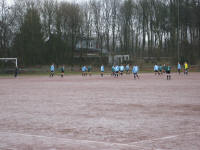Grafenwald