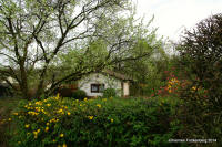 Grafenwald