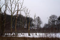Grafenwald