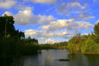 Grafenwald