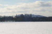 Grafenwald