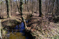 Grafenwald