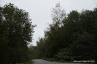 Grafenwald