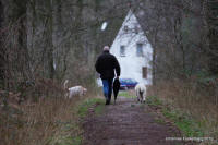 Grafenwald