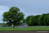 Grafenwald