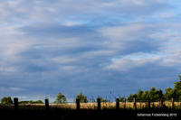 Grafenwald