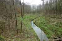 Grafenwald