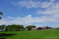 Grafenwald