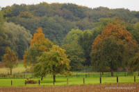 Grafenwald