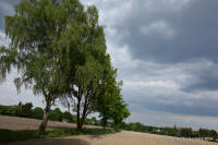 Grafenwald