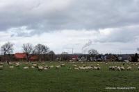 Grafenwald