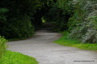 Grafenwald