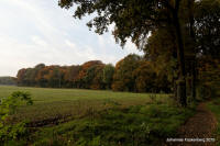 Grafenwald