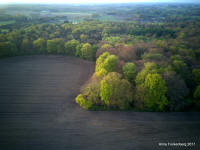 Grafenwald