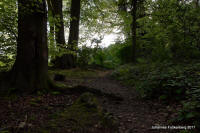 Grafenwald