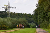 Grafenwald