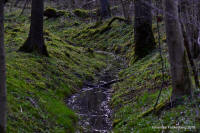 Grafenwald