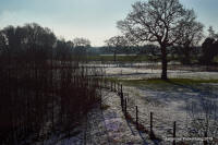 Grafenwald
