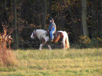 Reiter auf Pony