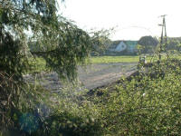 Grafenwald