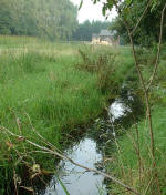 voller Graben im Sommer